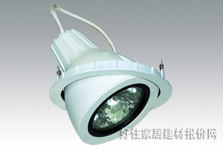 丽晶金卤射灯 带底座B254 35w 白色